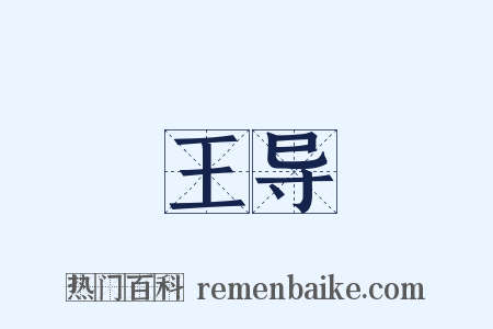 王导是什么意思的图片